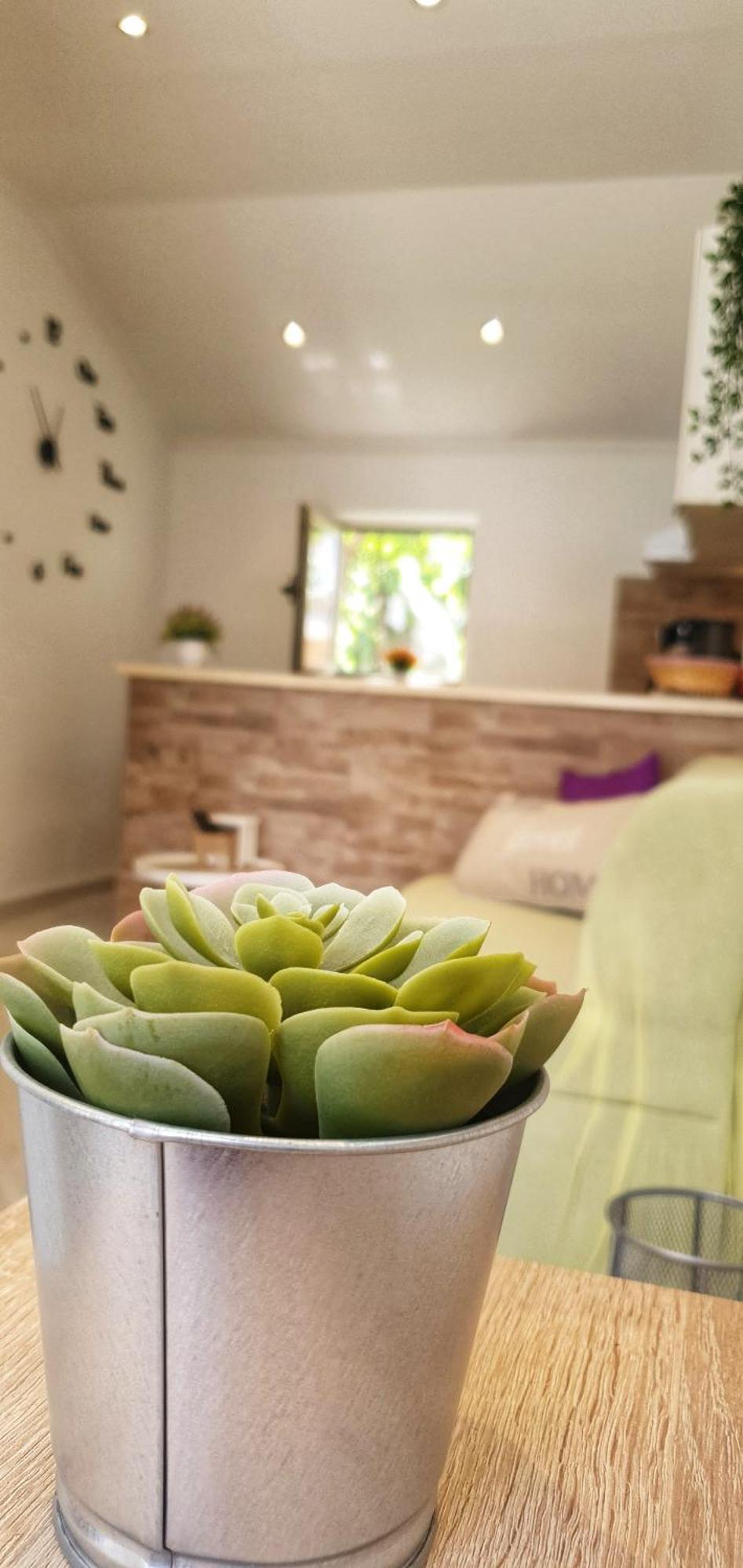 Apartments Marija Vukas Dubrovnik Quarto foto